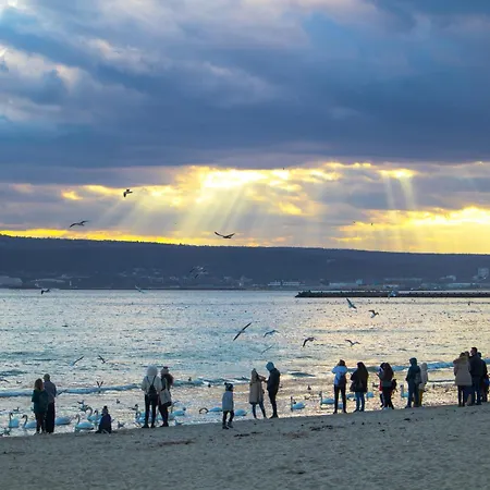 Lovely Art - Victory