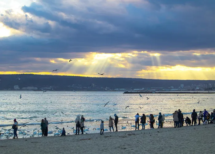 Lovely Art - Victory